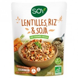 Plat prepare lentilles/riz/soj