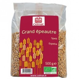 Grand epeautre