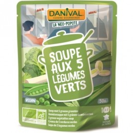 Soupe 5 legumes verts